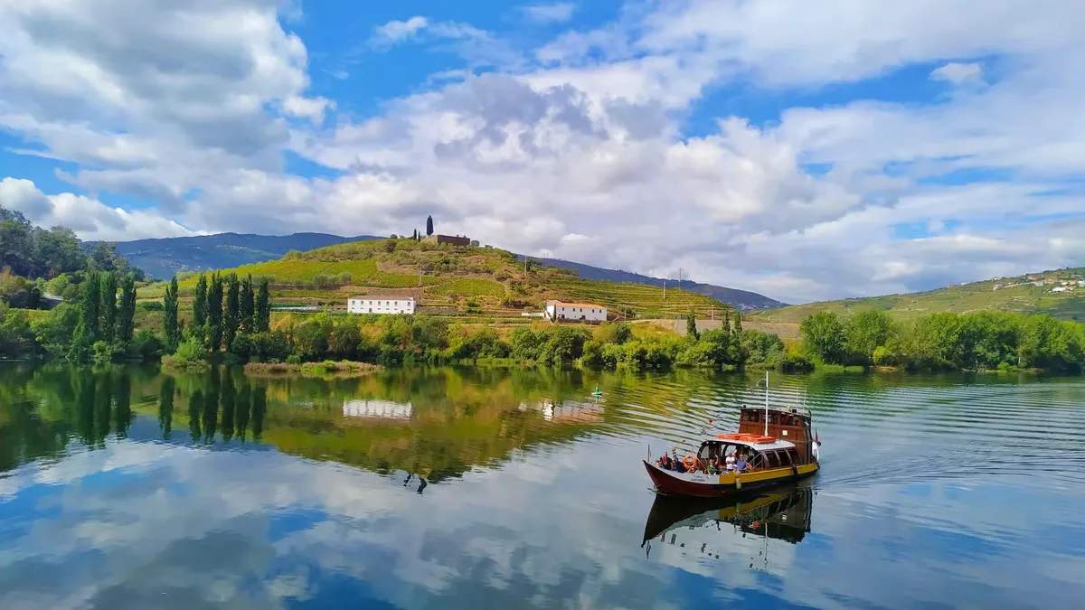 Row of Douro wines poured for a 9-tasting small-group wine tour with lunch and river cruise from Porto
