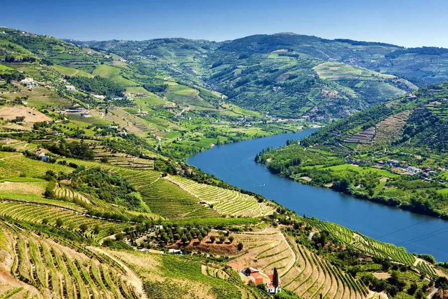 Private luxury van on a Douro Valley terrace road for a customizable private wine tour from Porto with hotel pickup